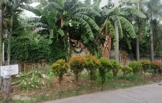 DURI KEPA JL MANGGA 24 , LT 312m2 , HGB