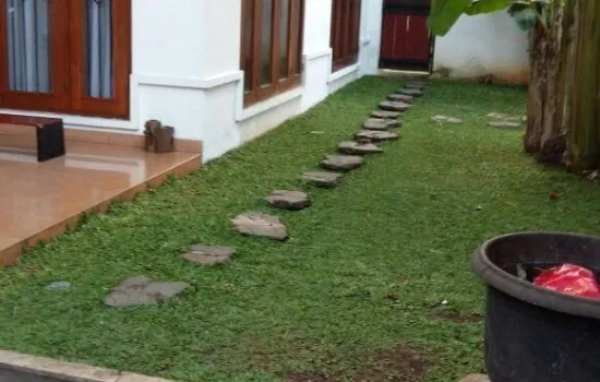 Rumah mewah dengan kolam renang, Cinere