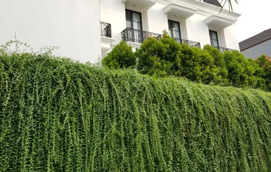 Rumah Cantik 5 Kt Furnished Cilandak with pool