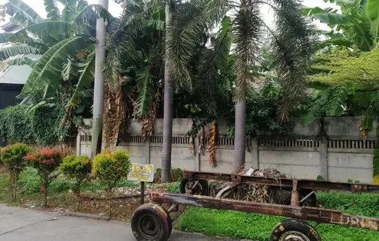 DURI KEPA JL MANGGA 24 , LT 312m2 , HGB