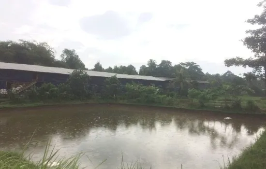 Tanah lokasi bagus di bogor
