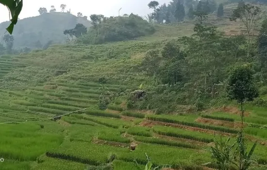 Tanah view bukit n lembah di jalir puncak Bogor