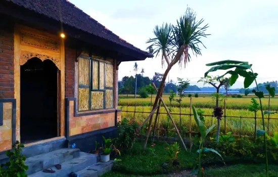 Vila ubud tengah sawah siap huni