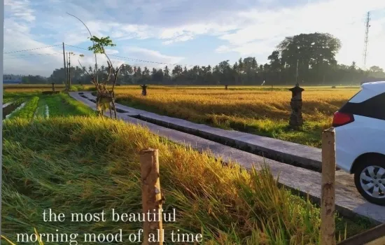 Vila ubud tengah sawah siap huni