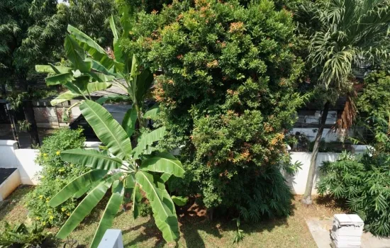 Rumah kolam renang jl bangka