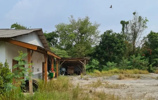 Disewakan tanah di legok karawaci luas 10980m2