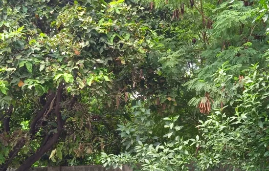 Tanah untuk Sekolah gedung Taman Ratu
