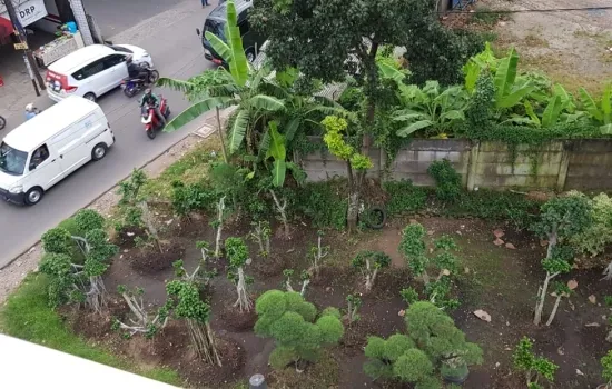 Tanah jalan Raden saleh. 1665 m2.