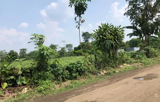 Tanah subur dan bagus di Rumpin Bogor