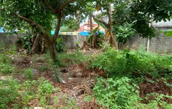 Tanah Daerah Meruya Jakarta Barat