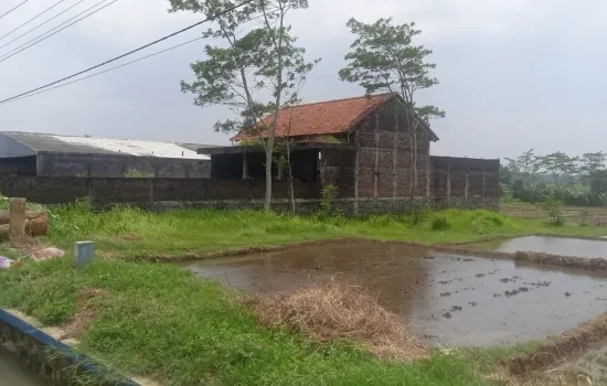 Tanah di Jalan Raya Purworejo dijual