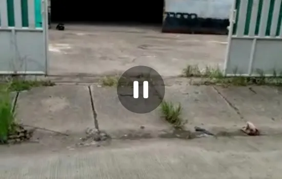 Disewakan gudang sunter