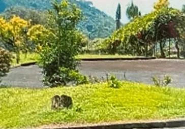 villa puncak jl raya ciherang lt 14.090m2
