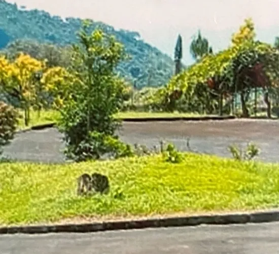 villa puncak jl raya ciherang lt 14.090m2