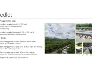 Tanah ex peternakan sapi di rumpin
