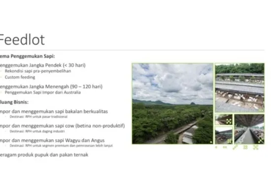 Tanah ex peternakan sapi di rumpin