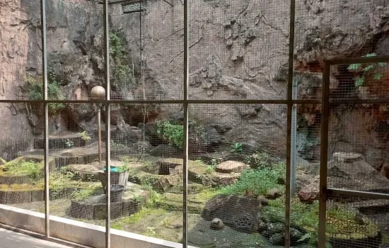 perumahan ancol barat jl pangandaran 7 jakut lt 510m2
