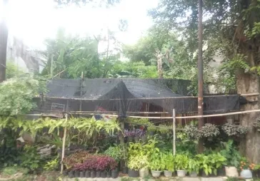 KAVLING TOSIGA 478 m2  KEBUN JERUK HARGA MURAH