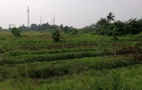 Kav Tanah  Pinggir Jalan Tol Seberang Mall Alam Sutera
