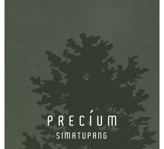 PROJECT : RUMAH PRECIUM SIMATUPANG, JAKARTA SELATAN