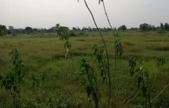 Kav Tanah  Pinggir Jalan Tol Seberang Mall Alam Sutera
