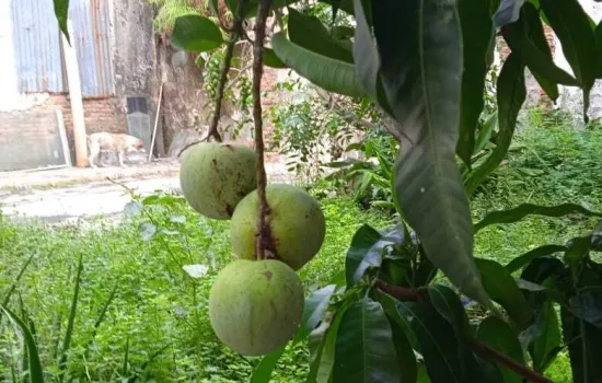 Rumah di Tangerang, Lokasi bagus