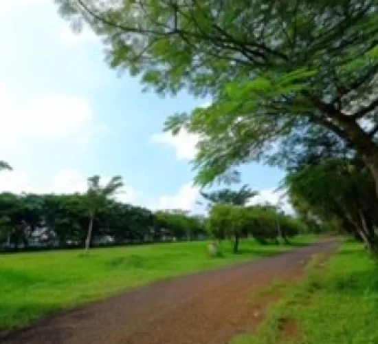 Dijual Tanah Nyaman cocok untuk tempat berlibur & investasi