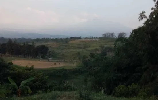 Tanah Tajur Halang - Cijeruk