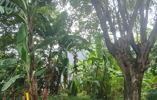 Lokasi strategis. bebas banjir.