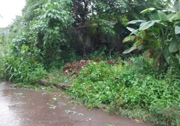 Tanah di cisauk  Tangerang lt 2926
