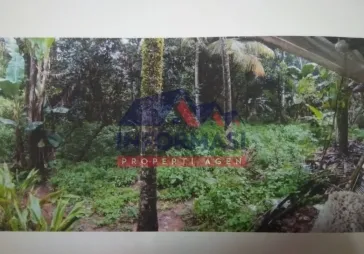 tanah pondok cabe ilir