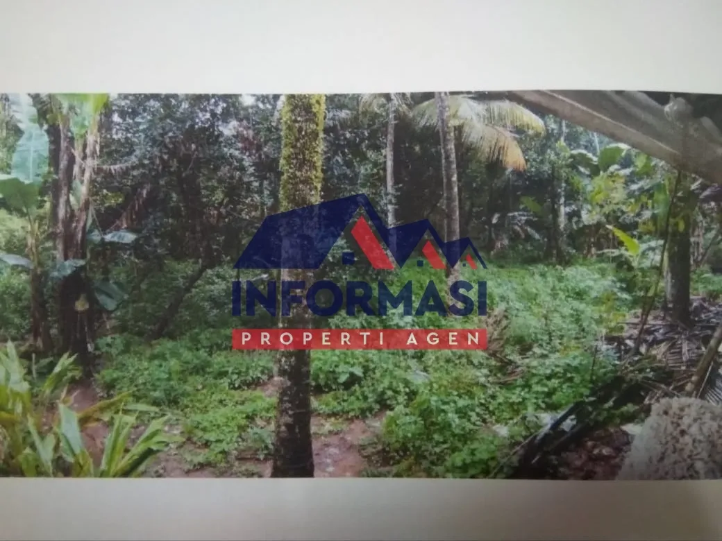 tanah pondok cabe ilir