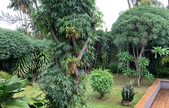 kemang jaksel , luas tanah 1052m2 ( jalan buntu )