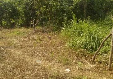 Kavling desa cikakak, sukabumi Luas 4 149 m2