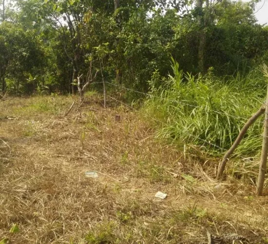 Kavling desa cikakak, sukabumi Luas 4 149 m2