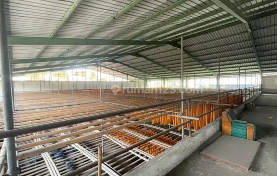 Dijual Pabrik di Jababeka 1, luas 1 hektar