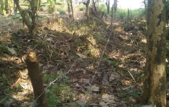 Kavling desa cikakak, sukabumi Luas 4 149 m2