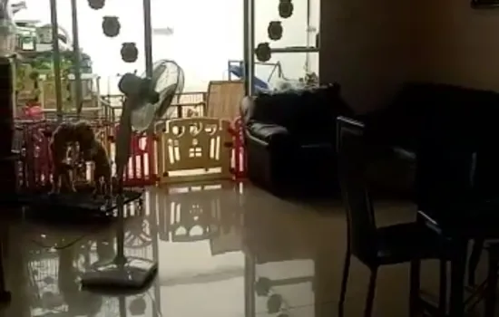 rumah cbd pluit exclusive garden house