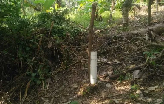 Kavling desa cikakak, sukabumi Luas 4 149 m2