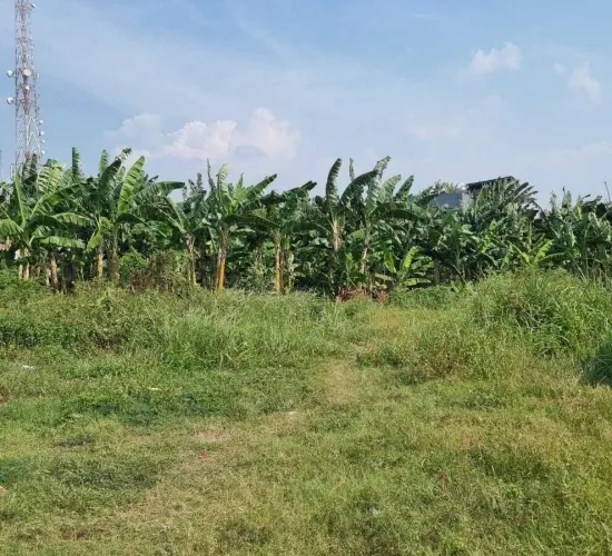 Tanah di jl Kedoya Raya. 3627 m2.   Sewa atau jual.