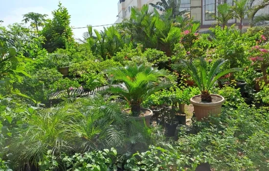 Tanah di Jakarta Barat, Lokasi bagus