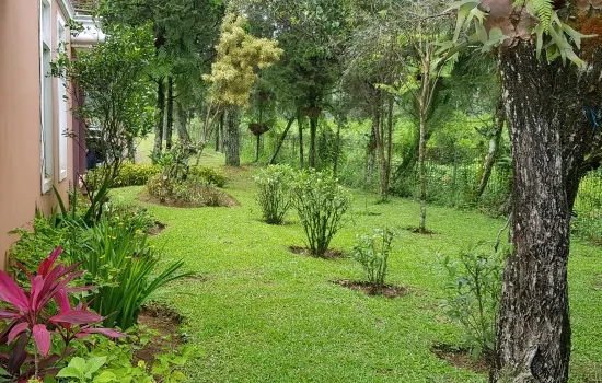 Dijual Cepat Villa Cisarua, Puncak Bogor. LT 2.100 m
