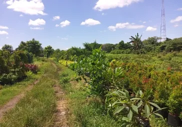 Lokasi zona Industri