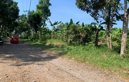 Dijual tanah di Cianjur, jawa Barat