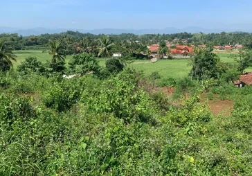 Dijual tanah di Cianjur, jawa Barat