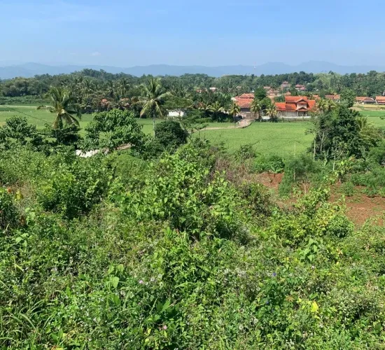 Dijual tanah di Cianjur, jawa Barat