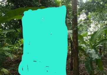 Dijual Tanah Daerah Kp Sawah Ciputat