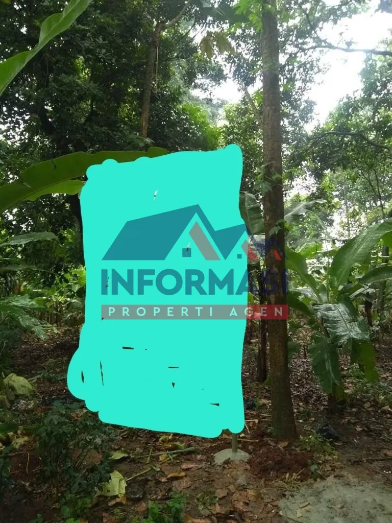 Dijual Tanah Daerah Kp Sawah Ciputat