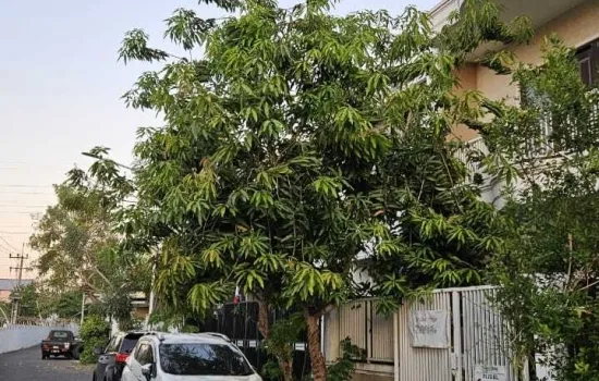 villa valensia pakuwon surabaya barat lt 96m2