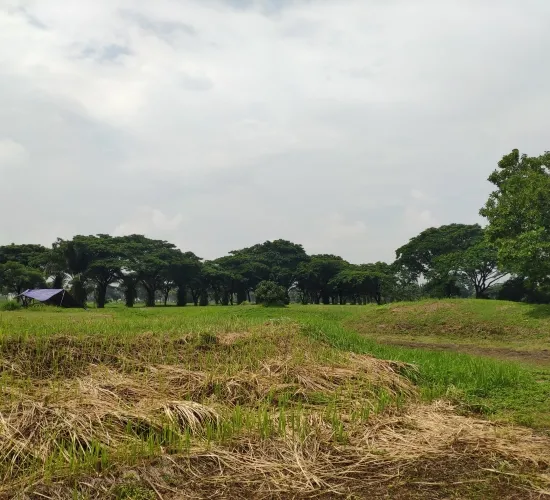 Tanah Kavling Kedaton Golf Suvarna Padi